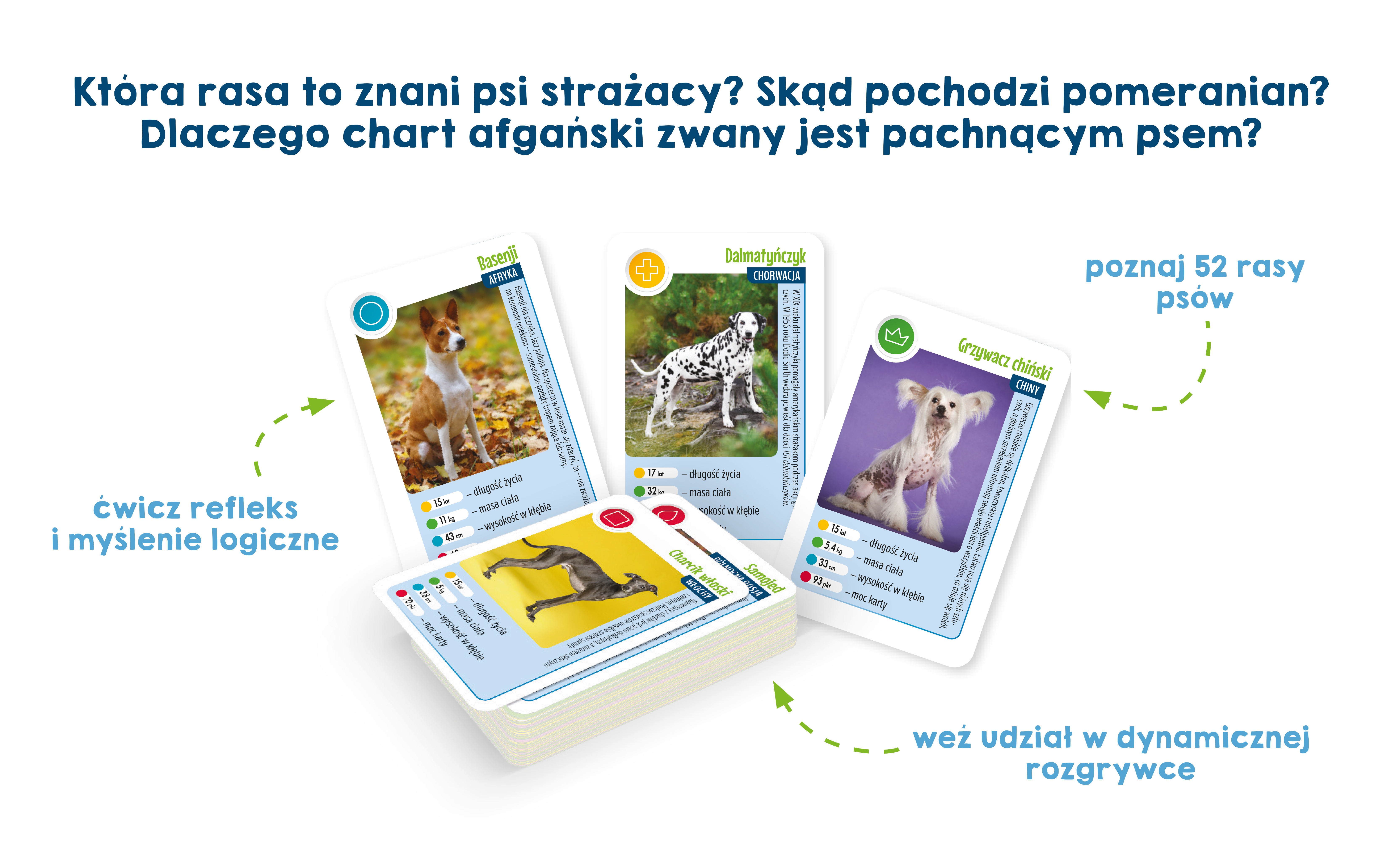 Środek gry karcianej Niesamowite psy Kapitan Nauka